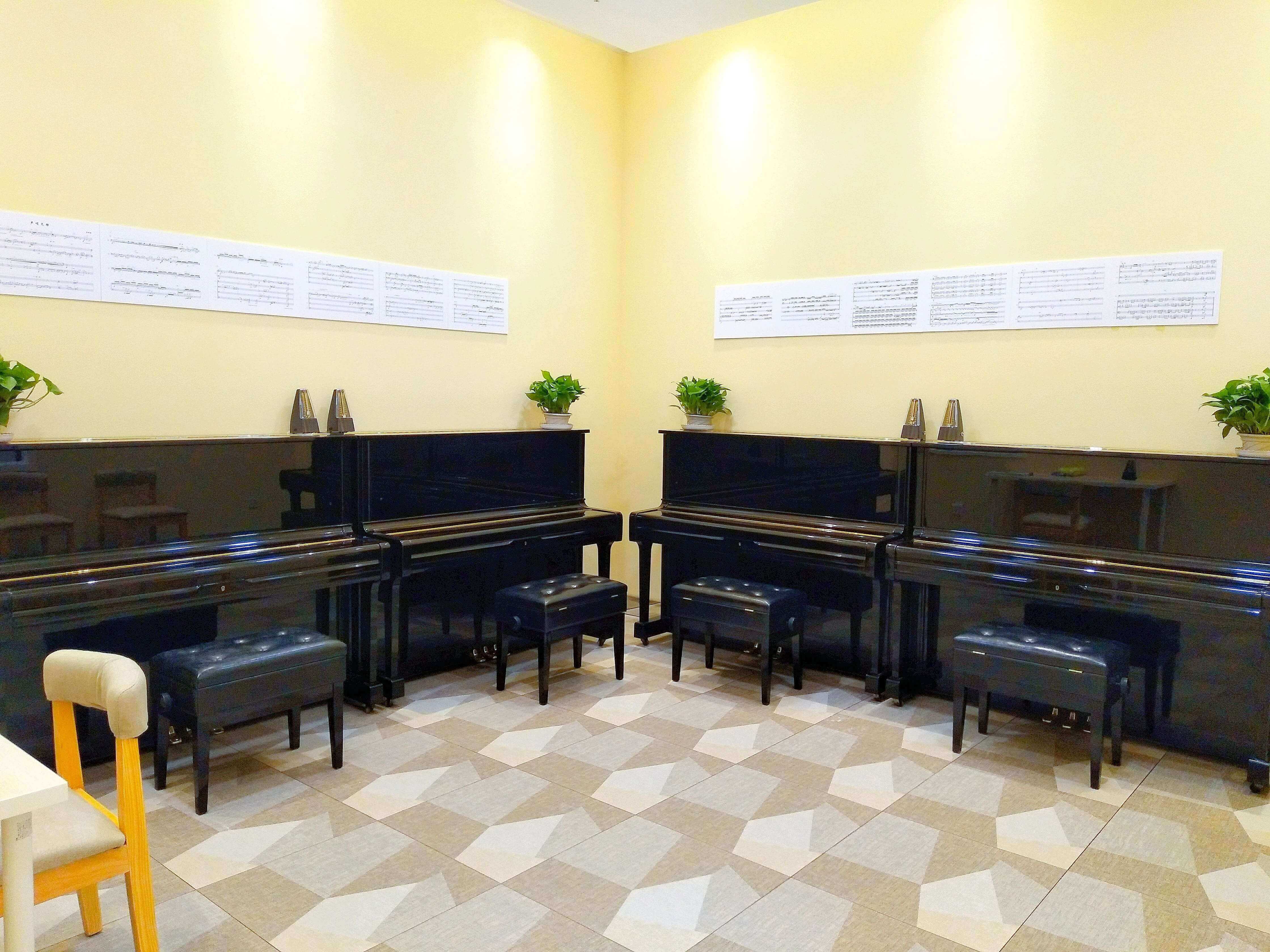 音乐艺考的院校和综合类大学有哪些区别？