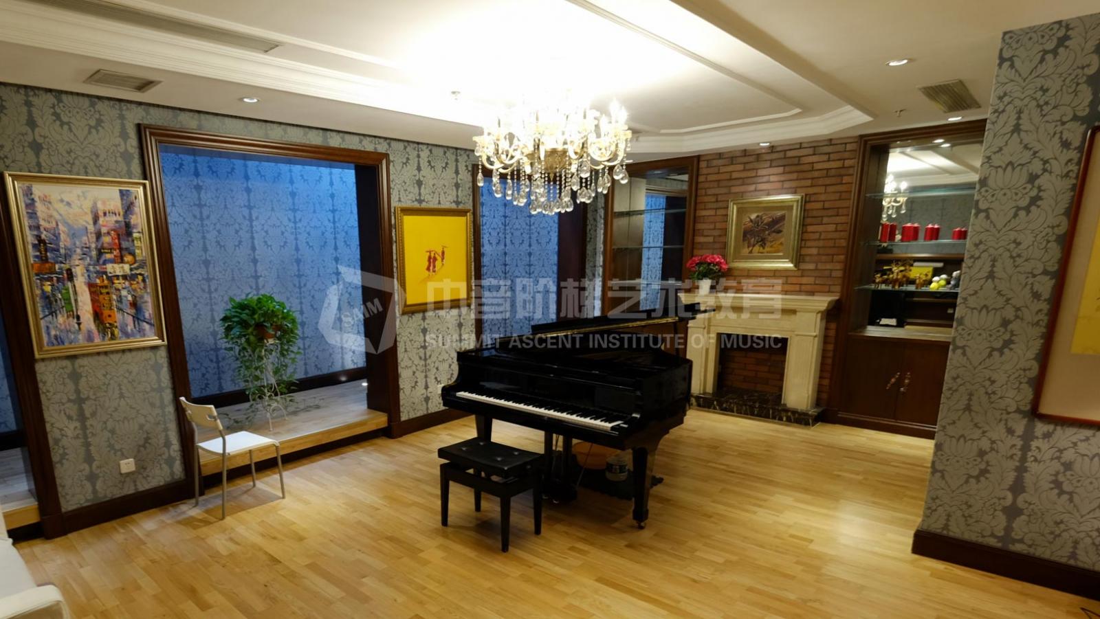 什么是箜篌，箜篌艺考培训（北京授课）机构选谁比较好？