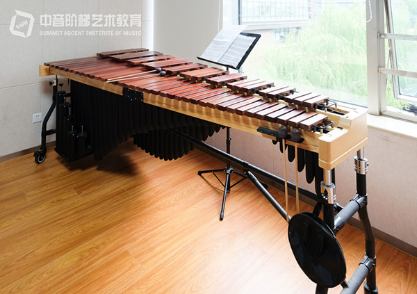 十大较冷门的乐器,你认识几个?