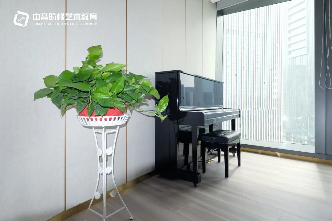 新消息！2022年音乐艺考要求出台，不同专业准备几首曲目？