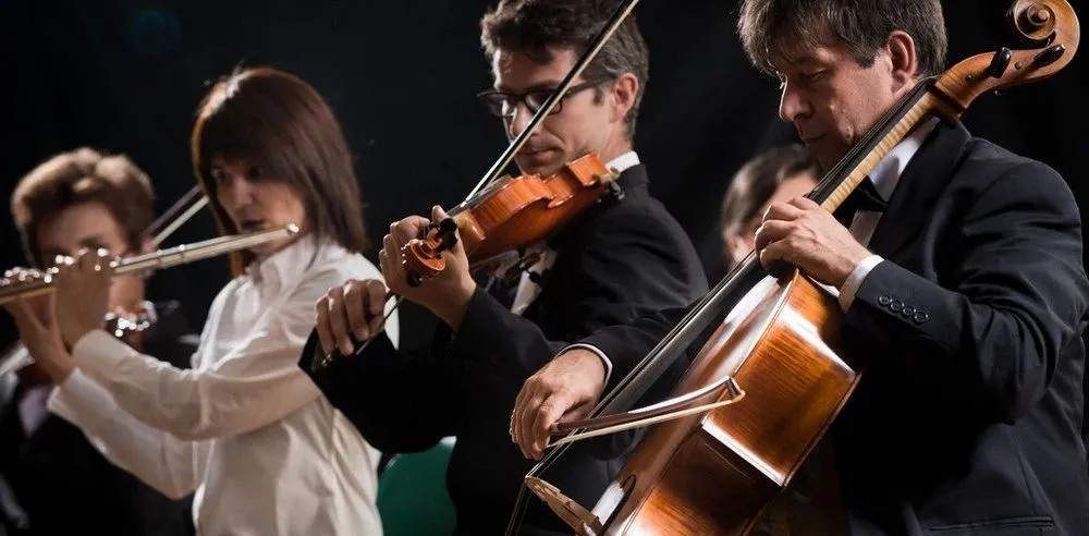 校考音乐院校有哪些？报考需要注意什么信息？