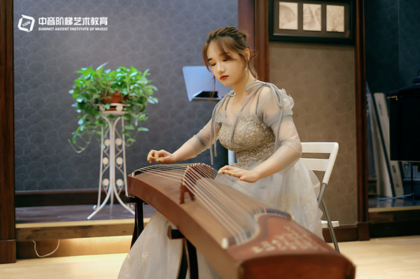 琵琶有什么特点？琵琶和古筝哪个好学？