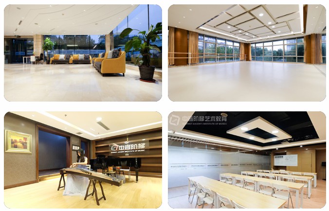 西洋乐器高考培训中心哪一个好？艺考哪一个乐器是比较好通过？